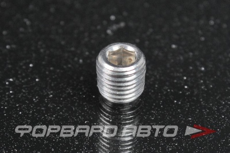 Купить Фитинг заглушка 1/16" под шестигранник, нержавеющая сталь AUTOBAHN88 