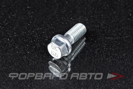 Купить Болт М10*1,5*25 S13  полуоси УАЗ с флянцем (класс прочности 8,8) Красная Этна 360007-П29