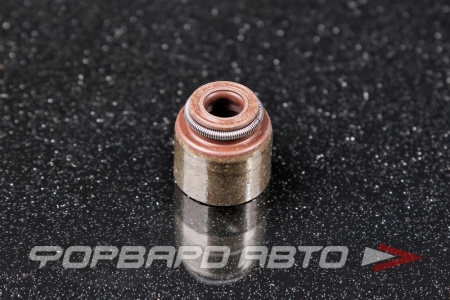 Купить Колпачок маслосъемный NOK BV4255-E0