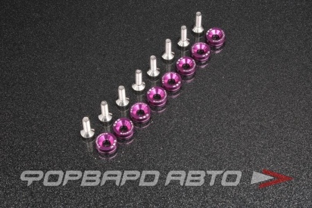 Купить Болт с декоративной шайбой М6 (8 шт) фиолетовой CSK PERFOMANCE ABFW-M6-P