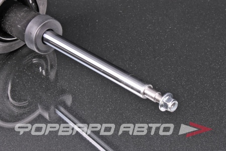Купить Амортизатор передний, правый MILES DG211061