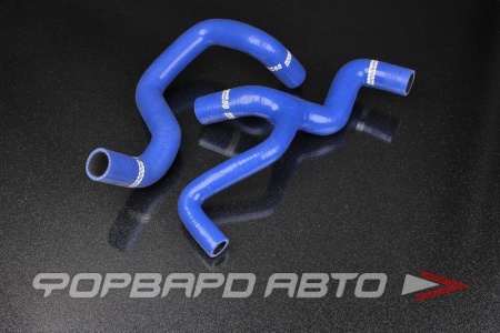 Купить Патрубки радиатора силиконовые Ford Focus ZX3 / ZX5 ZETECH 00-10 синие AUTOBAHN88 
