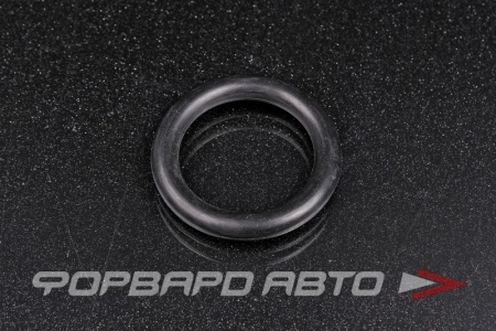 Купить Кольцо уплотнительное маслостойкое 29*6 NOK OR-06.00_029.00