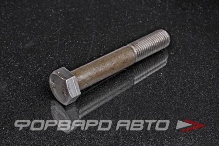 Купить Болт М16*2*100 СИБИРЬ 