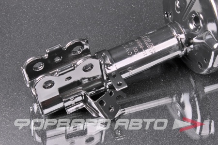 Купить Амортизатор передний, правый MILES DG21208-01