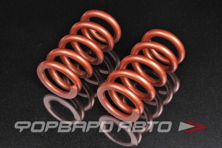 Купить Пружины для койловеров 24 кг, длина 178мм, ID65мм, универсальные SWIFT Z65-178-240