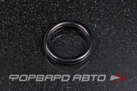 Купить Кольцо уплотнительное системы охлаждения VAG WHT 006 407