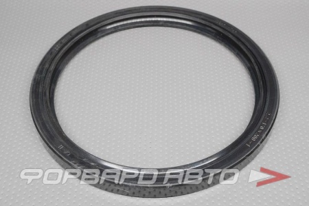 Купить Сальник 170*200*15 - 2,2 РОССИЯ 170X200X15-2,2