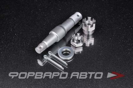 Купить Шаровый палец для рычагов FLCA N1 N1 NNS-S15004-C