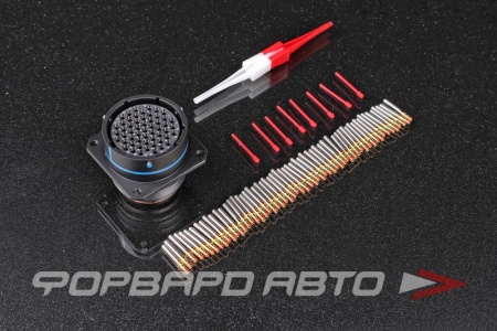 Купить Разъем 55 PIN мама AMPHENOL MS3470A22-55S