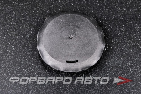 Купить Заглушка кузова ВАЗ 2114 (376)  2114-5007096