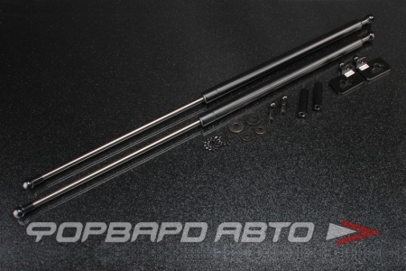 Купить Амортизаторы капота NISSAN Silvia S13 80-93 AUTOBAHN88 