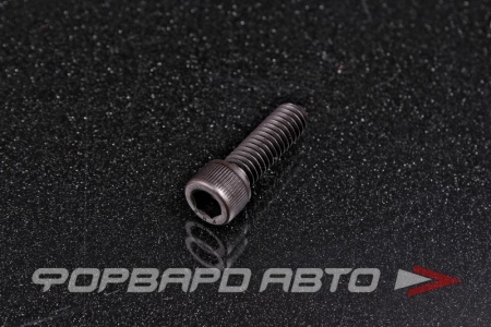 Купить Винт цилиндр. с внутренним шестигранником 5/16-18*1"(25мм) UNC (DIN912) 12.9  