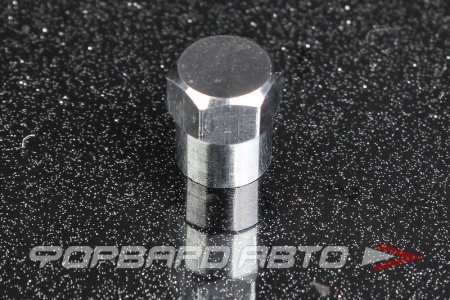 Купить Колпачок вентиля колеса (пластик хром) AIRLINE AVC-60-03