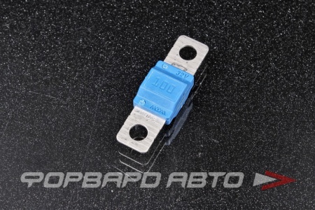 Купить Предохранитель MIDIVAL 100A MTA 