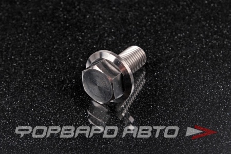 Купить Болт М10*1,25*20 титановый с фланцем FORA TITANIUM DIN6921-10*1.25*20Ti