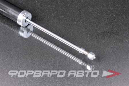 Купить Амортизатор задний MILES DG02482-01