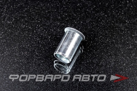 Купить Заклепка резьбовая М10 потайной фланец, гладкая  