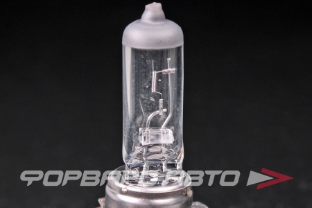 Купить Лампа H16 19W 12V MILES BL033