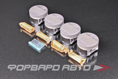 Купить Поршни (к-т 4 шт) QR20DE TEIKIN 44342 STD