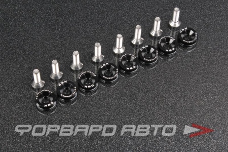 Купить Болт с декоративной шайбой М6 (8 шт) черный CSK PERFOMANCE ABFW-M6-BK