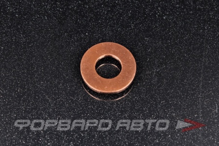 Купить Шайба форсунки 9,5*20*1 VICTOR REINZ 41-70441-10