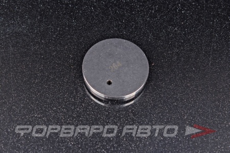 Купить Шайба SUZUKI 12892-65J10-264