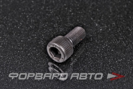 Купить Винт цилиндр. с внутренним шестигранником М10*1,25*20 DIN912 высокопр. пр.12.9  00026877