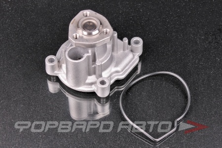 Купить Помпа MILES AN21137