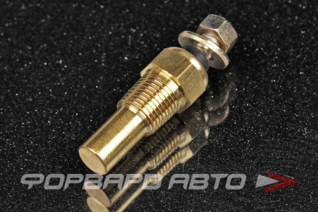 Сенсор температуры воды/масла для датчиков DEFI STYLE BF, 1/8 NPT EPMAN TK-CGQ10