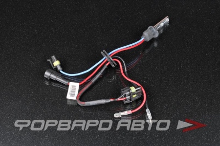 Купить Лампа ксенон H1 6000K AMP Китай 