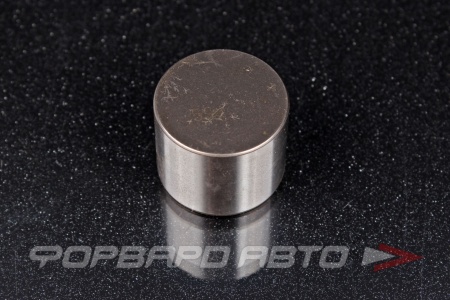 Купить ТОЛКАТЕЛЬ 594  LF479Q31007020A45