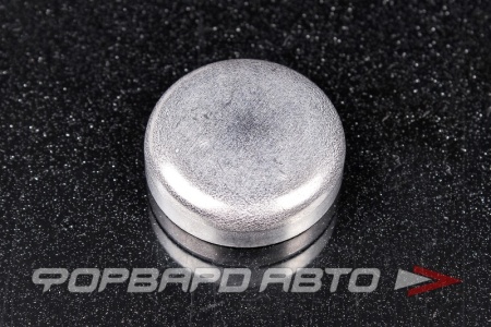 Купить Заглушка головки блока цилиндра D28 VAG N 011 908 5