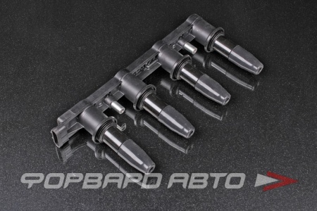 Купить Катушка зажигания DELPHI GN10234-12B1