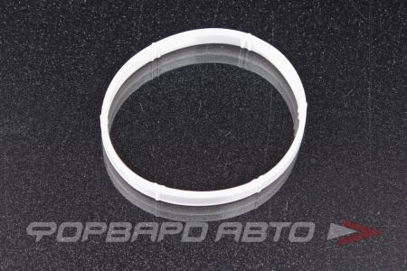 Купить Прокладка дроссельной заслонки ROSTECO 20587