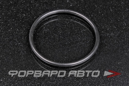 Купить Кольцо уплотнительное корпуса фазорегулятора VAG WHT 007 212 B