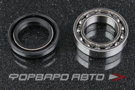 Купить Сальник 20*30,3*5 рулевой рейки c подшипником NISSAN 49365-15U25