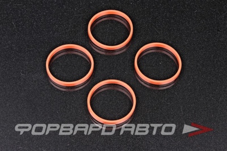 Купить Прокладка коллектора впускного VICTOR REINZ 11-37616-01