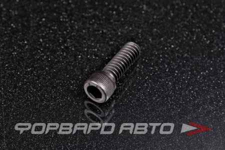 Купить Винт цилиндр. с внутренним шестигранником 1/4-20*3/4"(19мм) UNC (DIN912) 12.9  