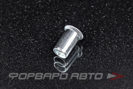 Купить Заклепка резьбовая М6 потайной фланец (М6х1,0х15,0) гладкая  CH-RB-0640 CN434 CN418