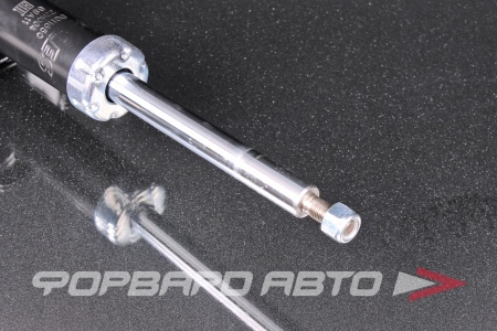 Купить Амортизатор передний, левый MILES DG11650