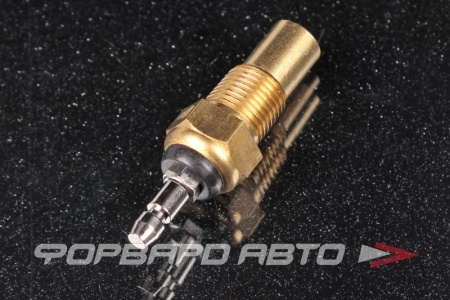 Купить Датчик температуры охлаждающей жидкости ERA 330095