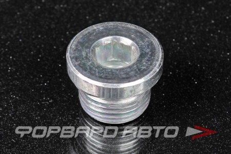 Купить Заглушка  G1/2", 400бар. Пневмакс Пневмакс 107604