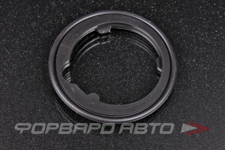 Купить Прокладка термостата (52мм) HONDA 19305-PLC-A00 Купить Прокладка термостата (52мм) HONDA 19305-PLC-A00