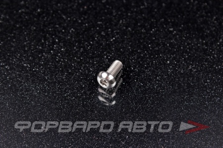Купить Винт M4*0,7*10 титановый полукруглая головка, внутренний шестигранник FORA TITANIUM ISO7380-4*10Ti