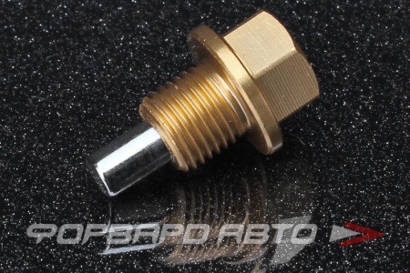 Купить Пробка сливная 12*1,25 масляного поддона с магнитом (Nissan, Toyota) AUTOBAHN88 