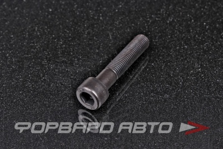 Купить Винт цилиндр. с внутренним шестигранником М10*1,25*50 DIN912 высокопр. пр.12.9  