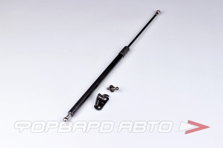 Купить Амортизатор задней двери TOYOTA PROBOX, SUCCEED 02- PATRON PGS100081