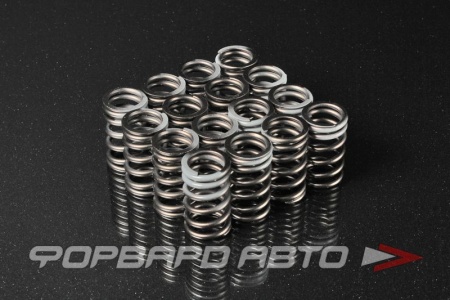 Купить Пружины клапанов NISSAN SILVIA S14 S15 SR20DET HKS 