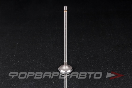 Купить Клапан выпускной N-ROCKY MB-125-0